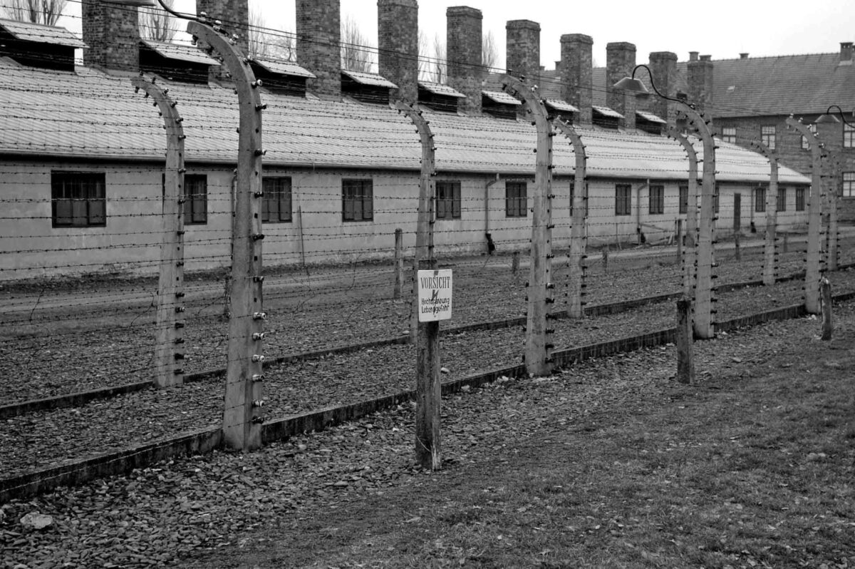 the nazi concentration camps 