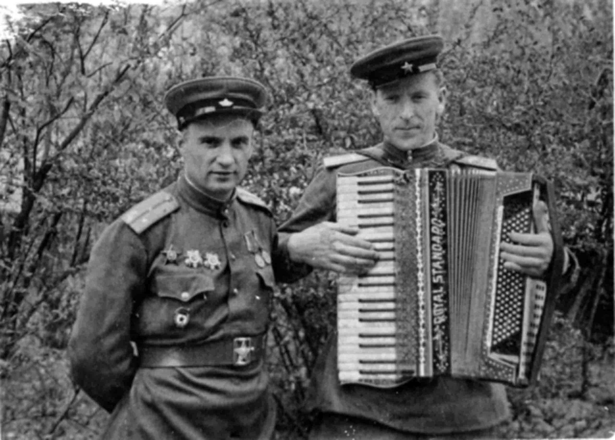 German accordion