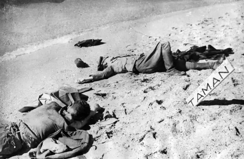 Deceased German soldiers lying on the battlefield of the Blue Line fortifications on the Taman Peninsula, October 1943, after intense fighting with the Red Army.