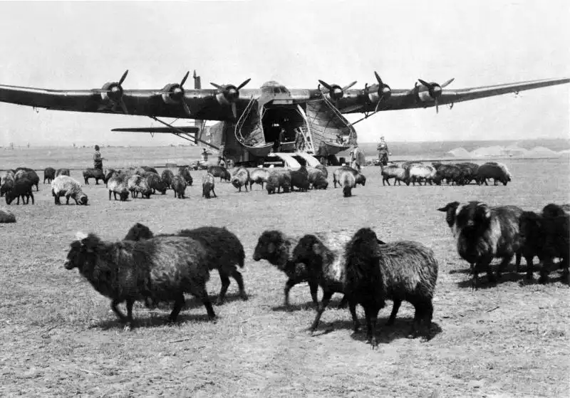 Black and white historical photo showing a giant six-engine German Me.323 transport aircraft with open front cargo doors parked in a rural field with grazing sheep in 1942.