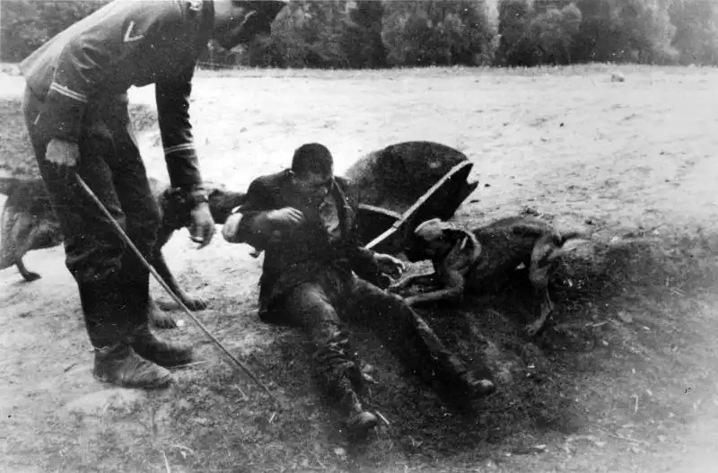 Historical photograph from United States Holocaust Memorial Museum showing SS guard insignia analysis and forced laborer in Rabka Poland.