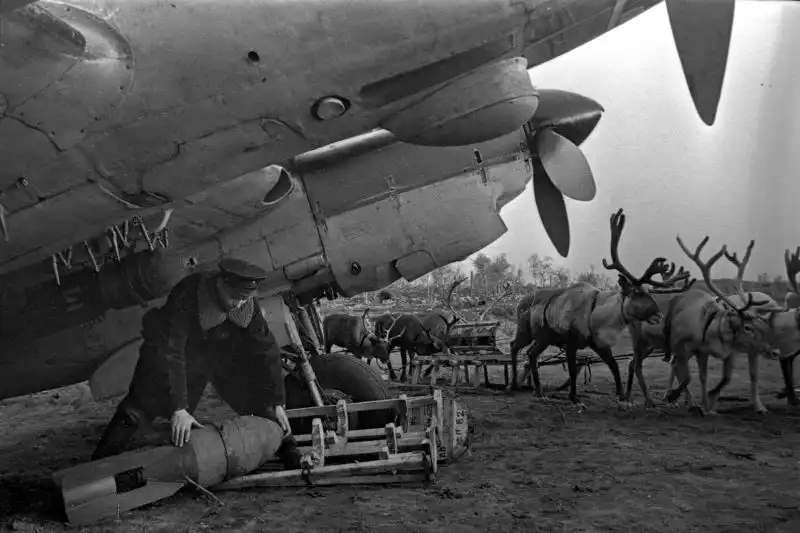 Soviet Northern Fleet crew loading FAB-100 bombs onto a Pe-2 bomber with a reindeer-drawn sled at a snowy airfield in 1942.