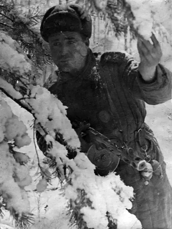 Soviet scout Mikhail Ganushenko peering through snow-covered pine branches with a PPSh-41 submachine gun and captured German M-39 grenades attached to his belt.