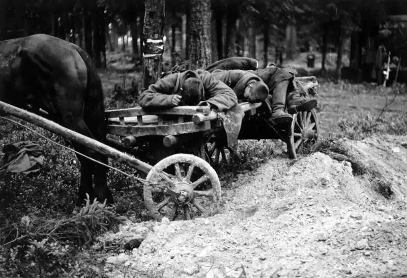 Cart carrying the bodies of fallen Red Army soldiers through occupied Karelia for burial after battles in August 1941
