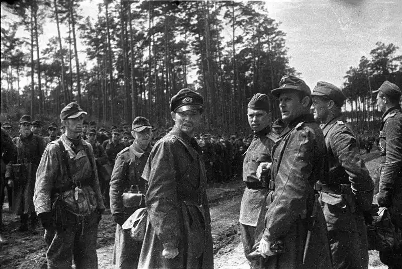 Black and white historical photo by Mikhail Savin showing German officers and troops surrendering on the wooded Frisch-Nerung Spit on May 9, 1945.