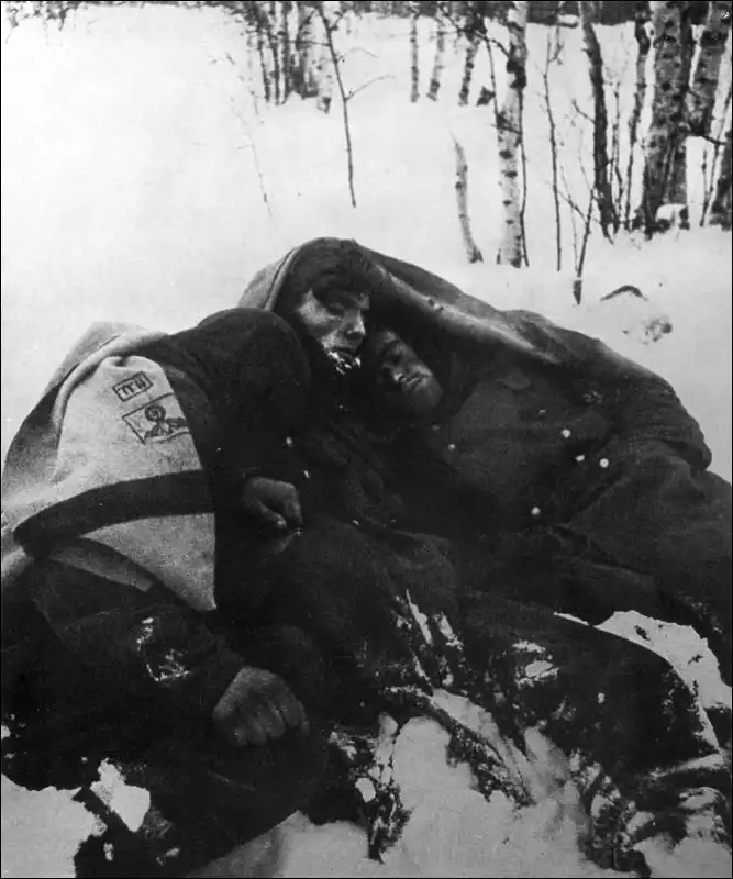 German Wehrmacht soldiers sleeping in snow in birch forest wrapped in standard issue blanket during Battle of Moscow 1941.
