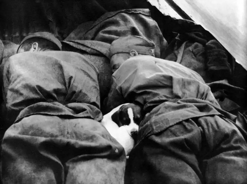 Two Soviet Red Army soldiers and a small dog sleeping together on the ground after the liberation of Czechoslovakia 1945.