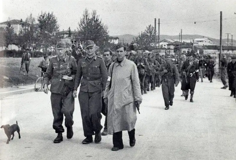 German prisoners of war escorted by Yugoslav partisans in Yugoslavia, May 1945