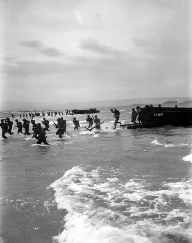 U.S. amphibious assault troops land during a training exercise from USS Cepheus (AKA-18) in Algeria