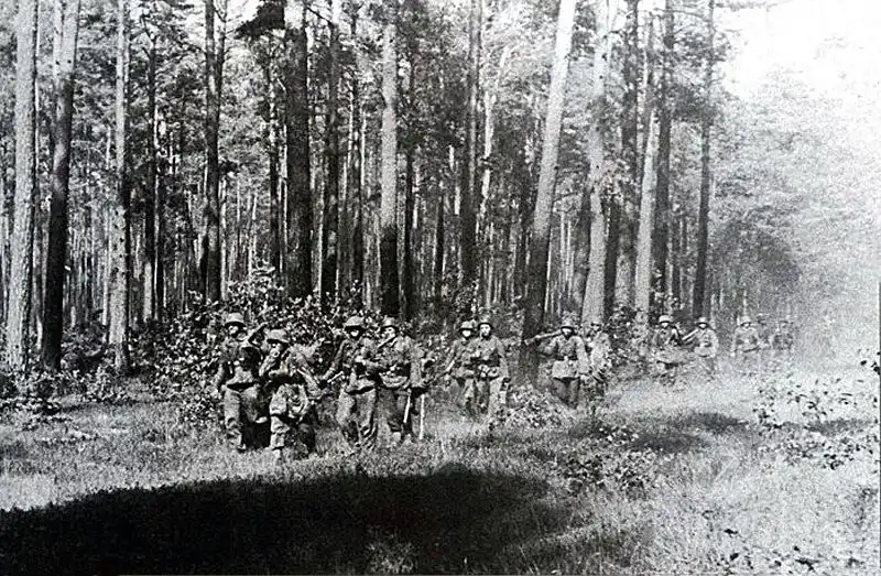 Black and white archival photo showing a line of German infantry soldiers with helmets and rifles advancing through a dense pine forest in Belarus, summer 1943.