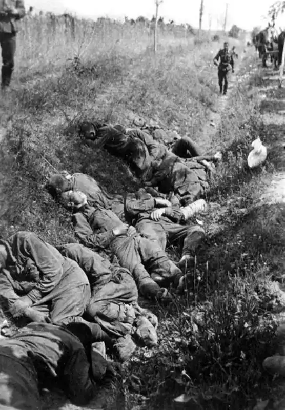 Bodies of fallen Red Army soldiers lie unburied in a roadside ditch during the German invasion of the Soviet Union in the summer of 1941