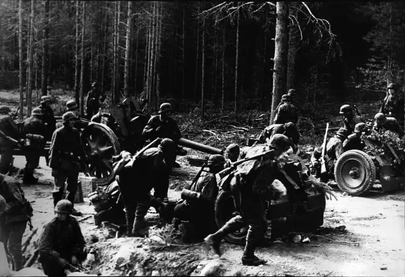 German 7.5 cm leIG 18 infantry gun and 10.5 cm leFH 18 howitzers deploying in a pine forest on the Eastern Front, 1944.