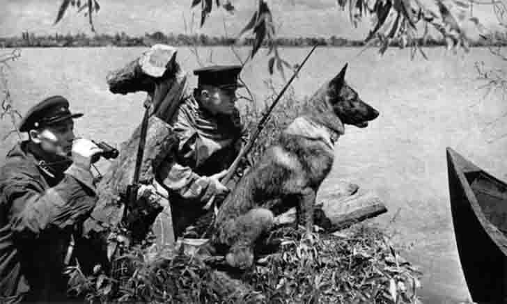 Soviet border guards with a service dog on the Danube river