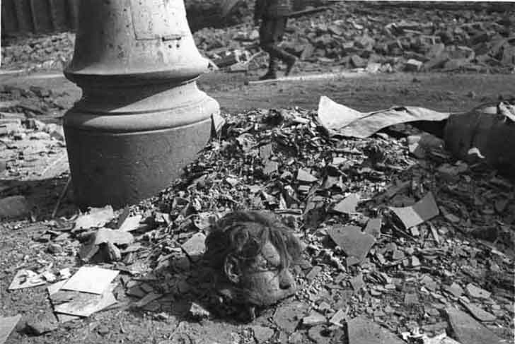 Severed human head on the streets of liberated Vienna