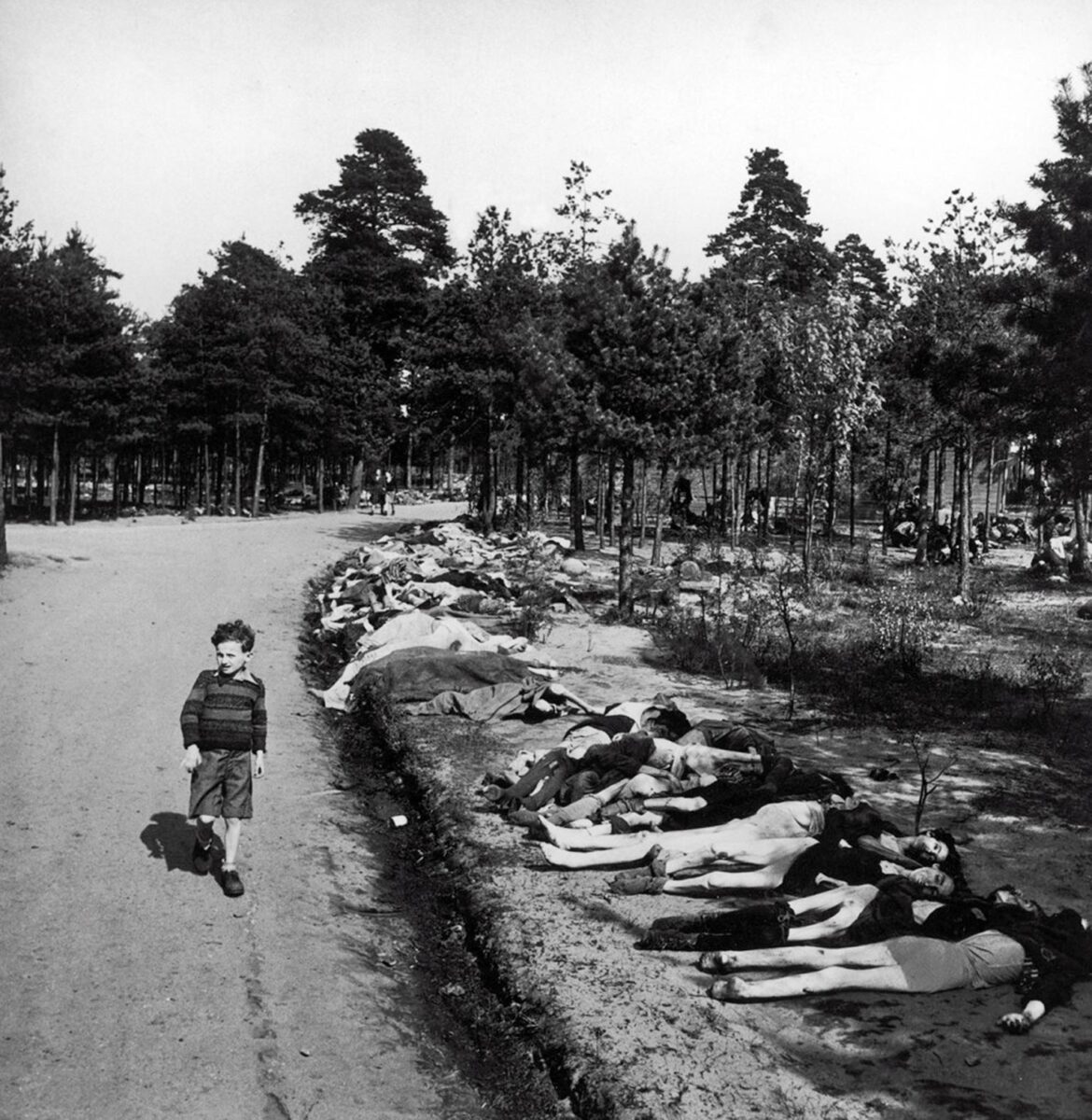 dead prisoners of the Bergen-Belsen concentration camp