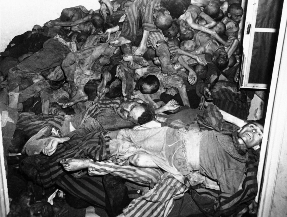corpses of prisoners in the Dachau concentration camp