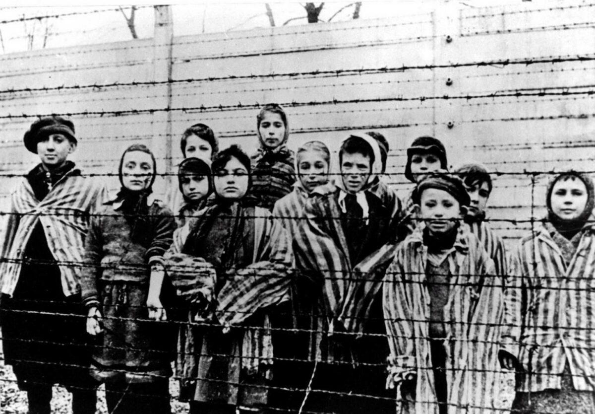 children liberated from the Auschwitz concentration camp