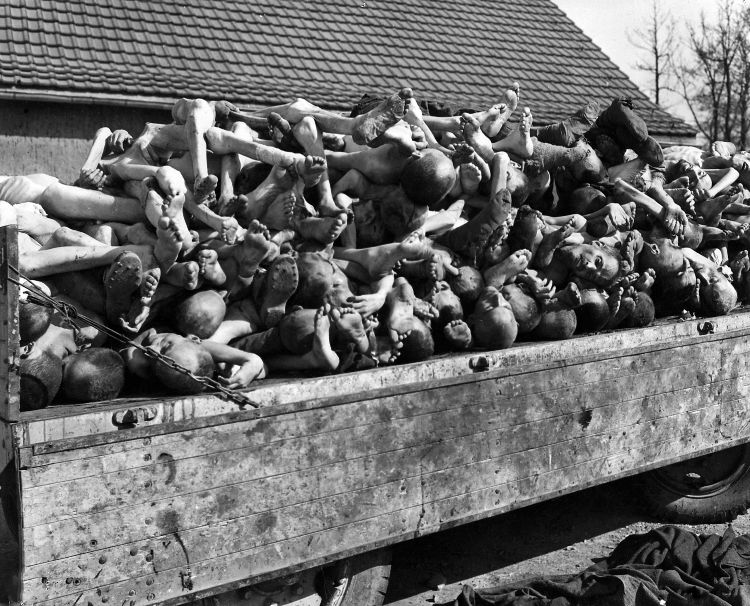 The corpses of the Buchenwald concentration camp prisoners